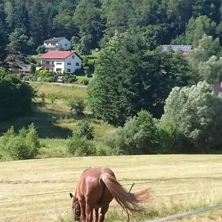 Haus Patry 아파트
