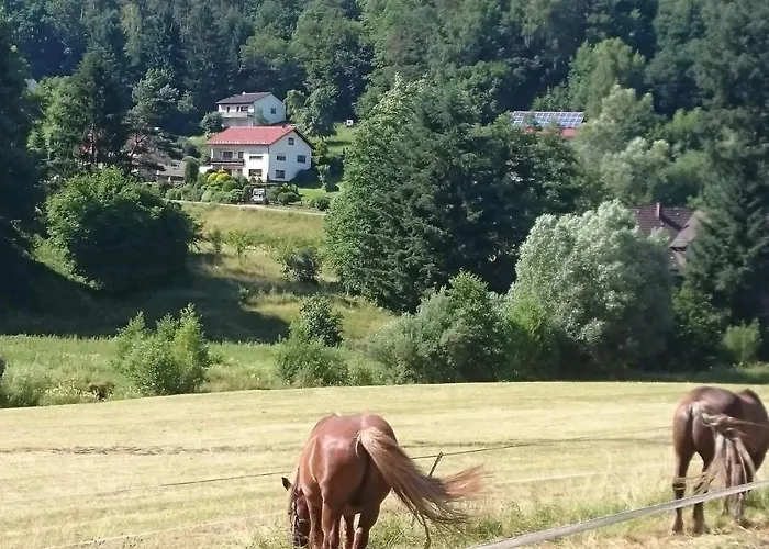 Haus Patry Апартаменты